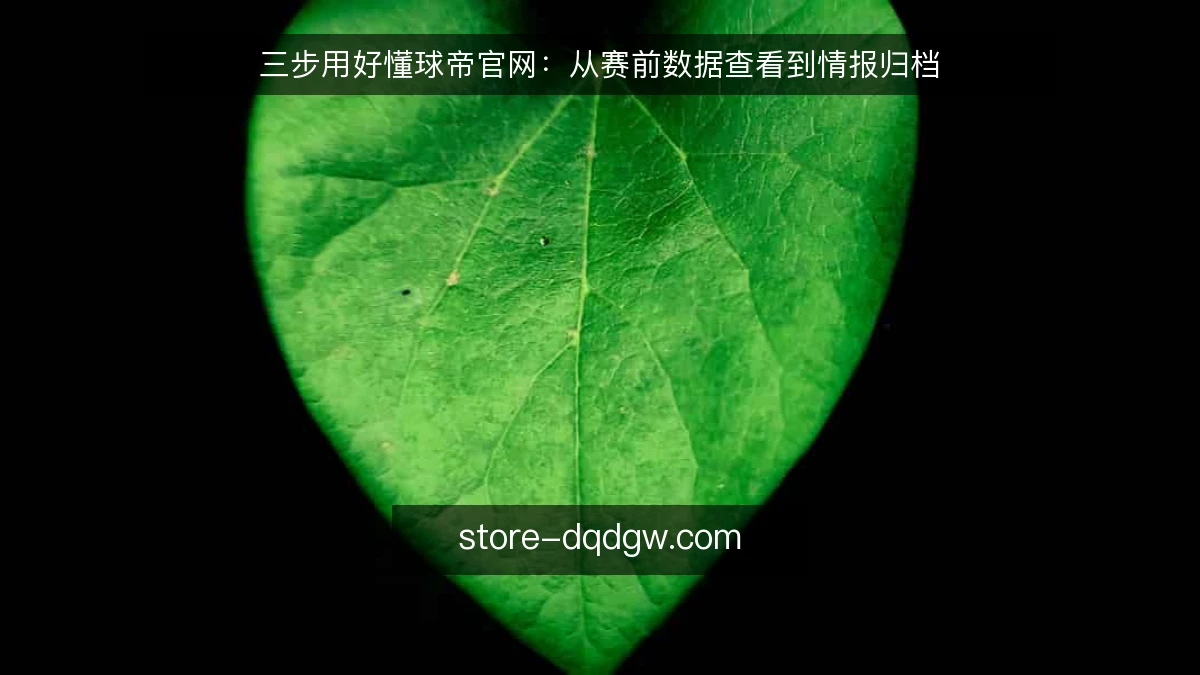 三步用好懂球帝官网：从赛前数据查看到情报归档
